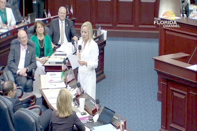 3/10/20 Farewell: Rep. Holly Raschein (R) - District 120 - Key Largo ...
