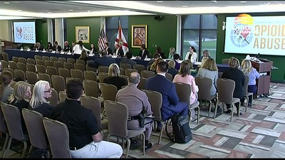 11/21/19 Statewide Task Force on Opioid Abuse - The Florida Channel