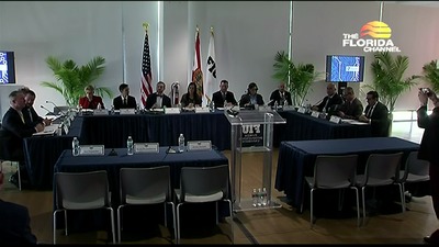 12/3/19 Florida Cybersecurity Task Force - The Florida Channel