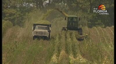 2/11/25 Capitol Update Extended - Water Managers Raise Concerns About