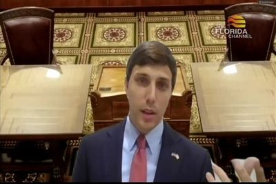 5/6/20 Florida Supreme Court Oral Arguments: Advisory Opinion to the ...