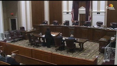 11/6/19 Florida Supreme Court Oral Arguments: The Florida Bar v Peter