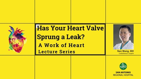 Thumbnail for Wang-Has-Your-Heart-Valve-Sprung-A-Leak1