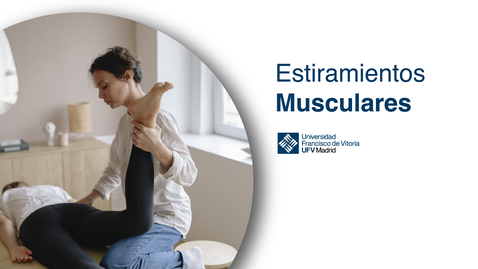 Miniatura para Tibial anterior