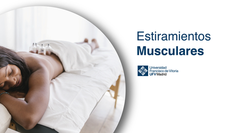 Miniatura para Tibial posterior