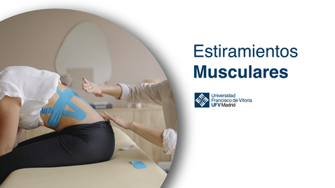 Miniatura para Extensor común de los dedos