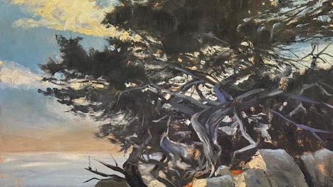 Thumbnail for Monterey Cypress, Ep. 285