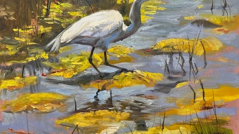 Thumbnail for The Egret, Ep. 284