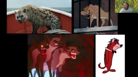 Thumbnail for Animal Anatomy in Animation
