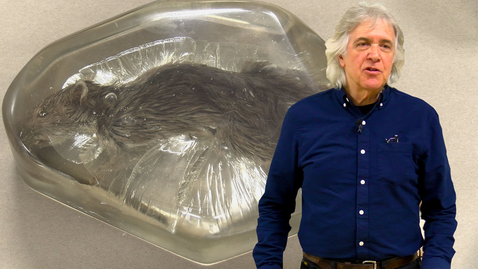 Thumbnail for Resin Casting with Arthur Cordisco