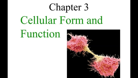 Thumbnail for Chapter 03 - Lecture 1 (21:26)