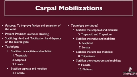 Thumbnail for entry Carpal Mobilizations Model 1