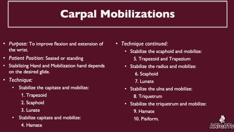 Thumbnail for Carpal Mobilizations Model 1