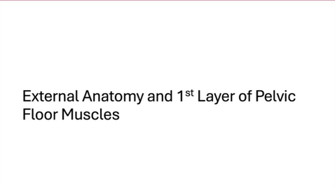 Thumbnail for 2 - External Anatomy and 1st Layer of Pelvic Floor Muscles 