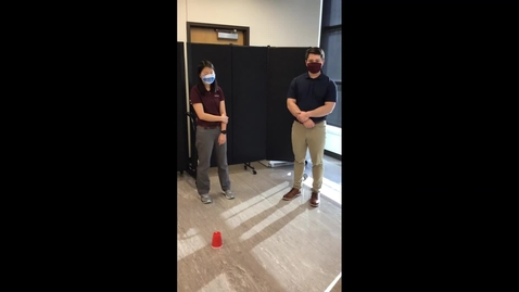 Thumbnail for Figure 8 Walking and Loop Walking