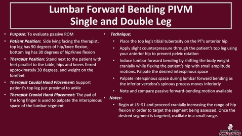 Thumbnail for Lumbar Forward Bending PIVM Single and Double Leg