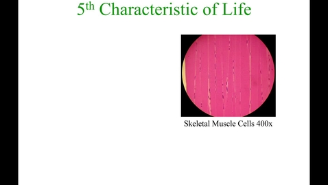 Thumbnail for Chapter 01 - Lecture 2B (27:41)