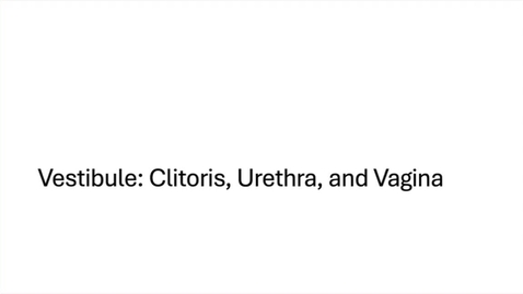 Thumbnail for 3 - Vestibule: Clitoris, Urethra, and Vagina