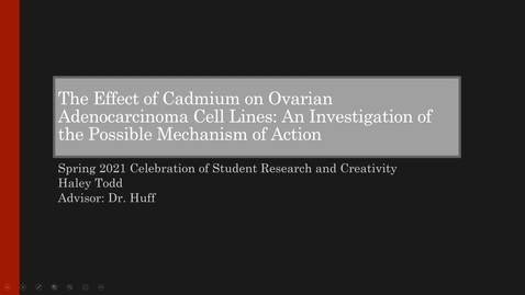 Thumbnail for entry Haley Todd - The Effect of Cadmium on Ovarian Adenocarcinoma Cell Lines: An Investigation of the Possible Mechanism of Action