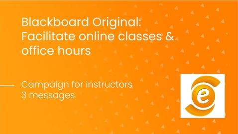 Thumbnail for Facilitating online classes and office hours: instructors
