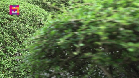 Thumbnail for Have You Ever Seen the Monsters? (English subtitles available)
