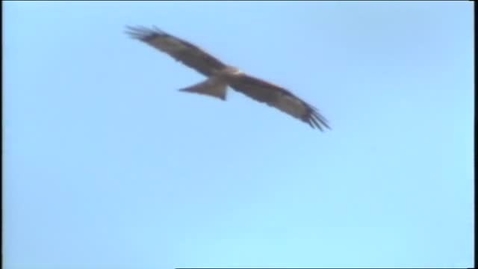 Thumbnail for Beautiful Things In Nature (English subtitles available)