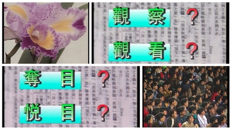 Thumbnail for 近義詞辨析(中文字幕可供選擇)
