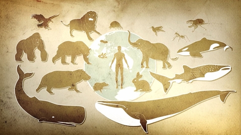 Thumbnail for Grouping of Living Things and Biodiversity (English subtitles available)