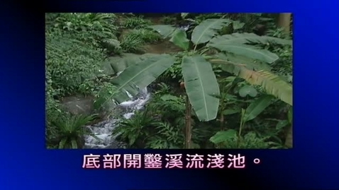 Thumbnail for 小雲妮信箱(說明事物)(中文字幕可供選擇)