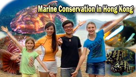 內容項目 Marine Conservation in Hong Kong 的縮圖