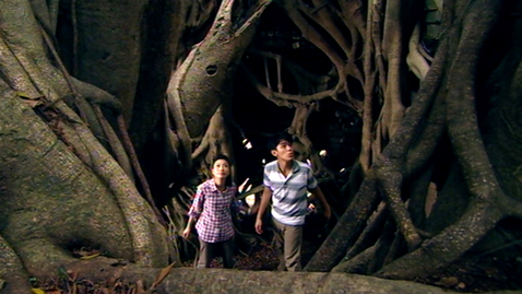 Thumbnail for 適者生存 - 植物篇