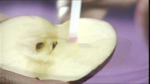 Thumbnail for 食物與健康