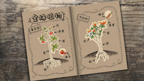 Thumbnail for 植物王國I