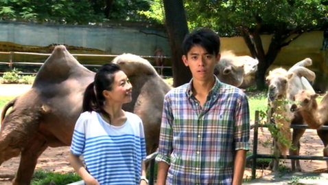 Thumbnail for 適者生存 - 動物篇