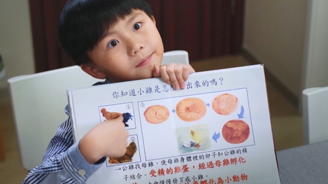 Thumbnail for 價值觀教育學與教視像資源：我是「敏感」人？(小心注意飲食)