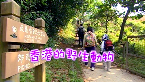 Thumbnail for 香港的野生動物