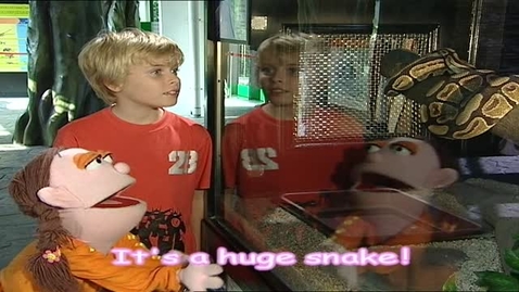 Thumbnail for Tell Me What (English subtitles available)