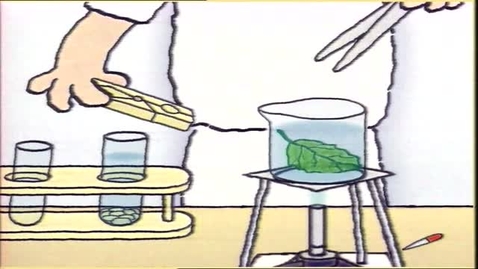 Thumbnail for Laboratory Safety (English subtitles available)