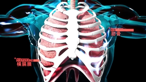 內容項目 呼吸博士實驗室(身體的奧秘──呼吸系統篇) (中、英文字幕可供選擇) 的縮圖