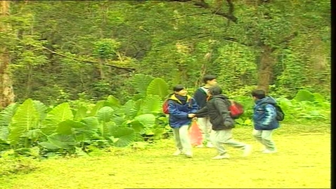 Thumbnail for 城門水塘歷險記（聆聽生活事情）