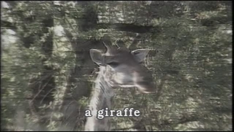 Thumbnail for Animal Friends (English subtitles available)
