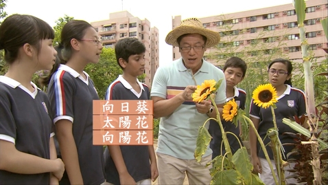 Thumbnail for 異口同聲系列(二) 親親大自然 (部首、比喻法) (中文字幕可供選擇)
