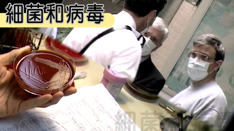 Thumbnail for 細菌和病毒