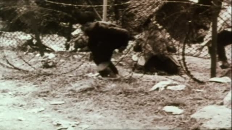 Thumbnail for 香港體育的歷史