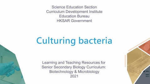 Thumbnail for Culturing bacteria (English subtitles available)