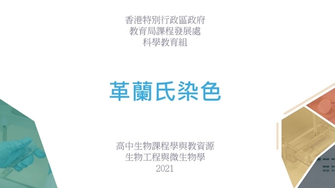 Thumbnail for 革蘭氏染色 (配以中文字幕)