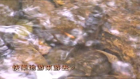 Thumbnail for 團結就是力量(排比)