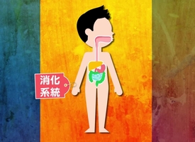 頻道 健康與生活 的縮圖