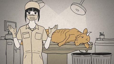 Thumbnail for 我們都是理科生@動物衞生 (中、英文字幕可供選擇)