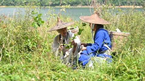 Thumbnail for 堅毅的華佗  